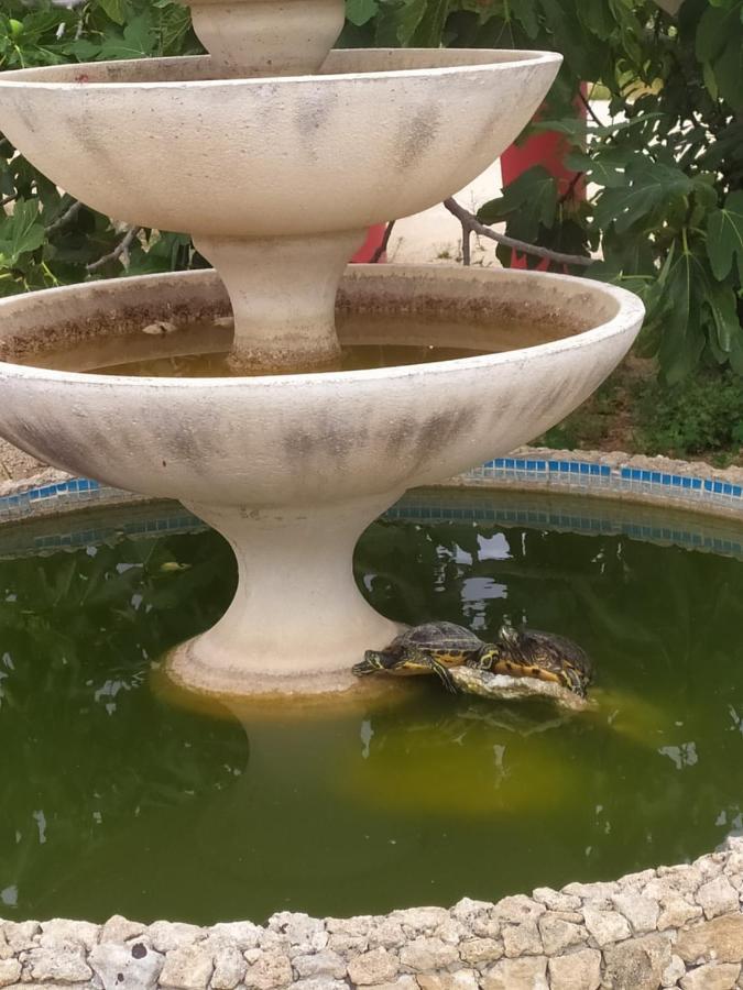 B&B La Seta Rossa Galatone Kültér fotó